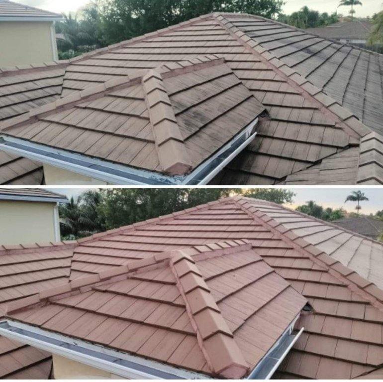 roof washing